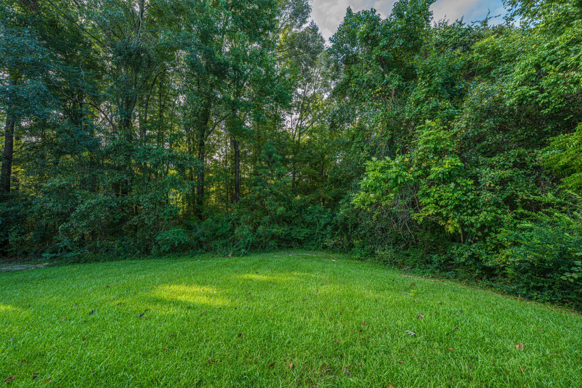 325 Foster Greens Court Photo 34