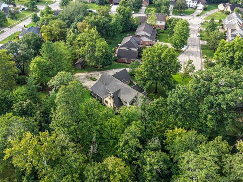 9202 Souffle Circle, Symmes Township, OH 45140 Photo 60