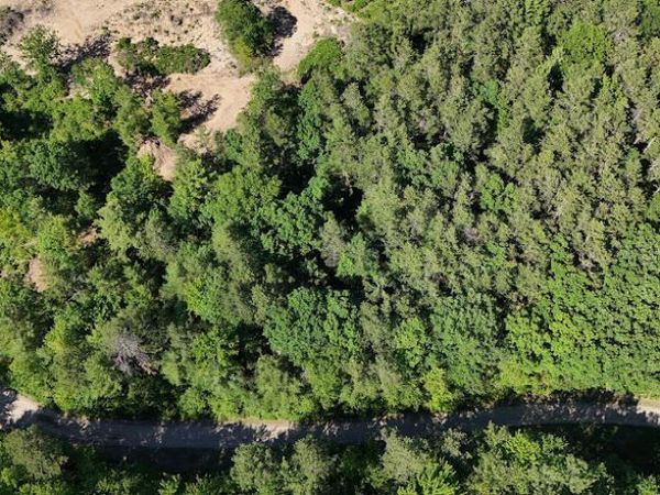 Lot 23, F1 Little Poverty Pond Road , Shapleigh, ME 04076