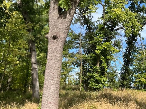 TBD Twin Bluff Lane S, Stockholm, WI 54769
