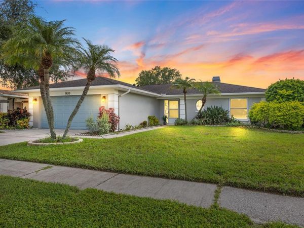 1920 CHENEY COURT , LUTZ, FL 33549
