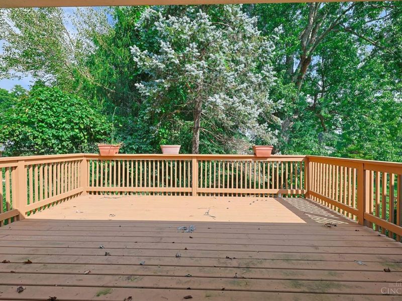 7306 Redondo Court, Madeira, OH 45243 Photo 23