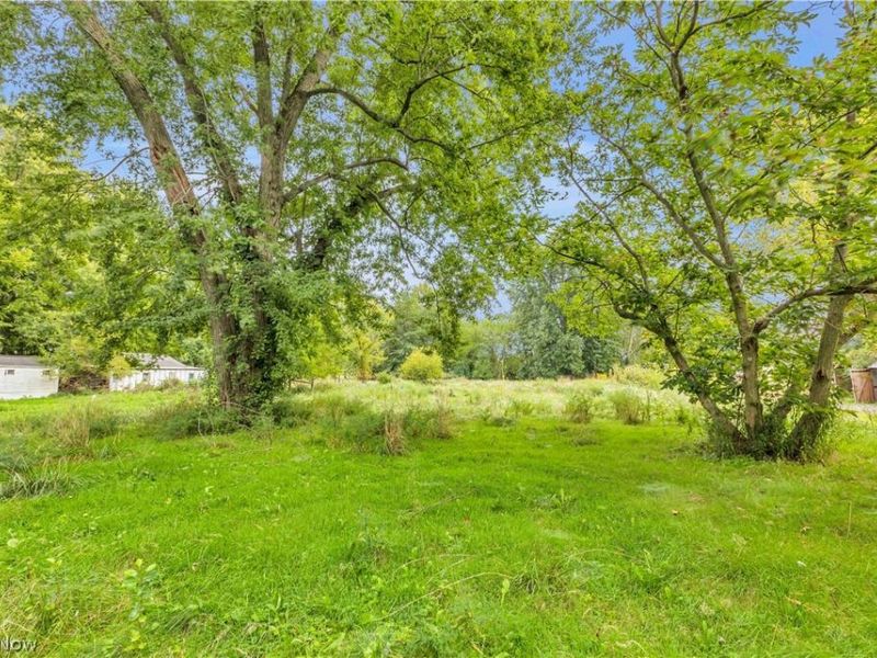 Chestnut Ridge Road , Elyria, OH 44035 Photo 3