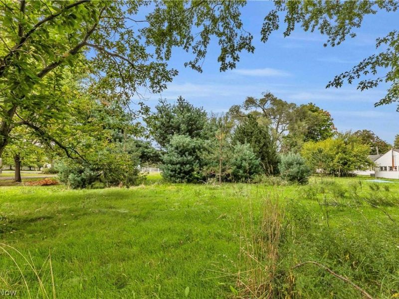 Chestnut Ridge Road , Elyria, OH 44035 Photo 4