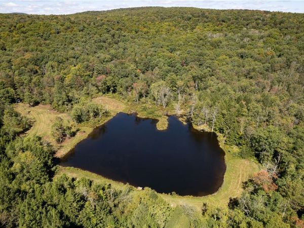 Terwilliger Road, Livingston Manor, NY 12758