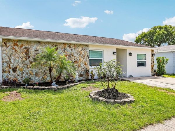1009 COOLWOOD PLACE, BRANDON, FL 33511