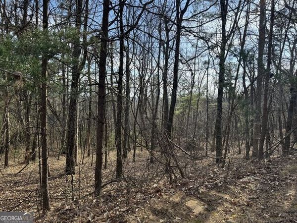 0 Scarlett Pippin Lane, Unit #1604, Clarkesville, GA 30523