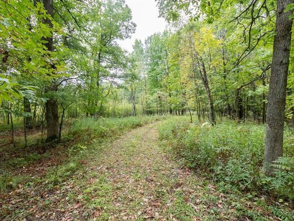20 ACRES 153rd Avenue, Balsam Lake, WI 54810