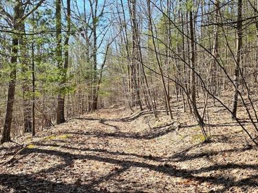S Hill Road , Van Etten, NY 14889