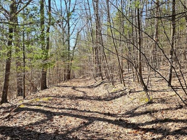 S Hill Road , Van Etten, NY 14889