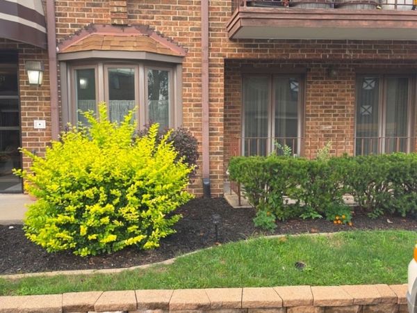 13547 Lamon Avenue, Unit 402, Crestwood, IL 60418
