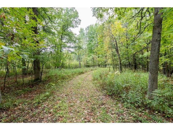 20 Acres 153rd Avenue, Balsam Lake, WI 54810