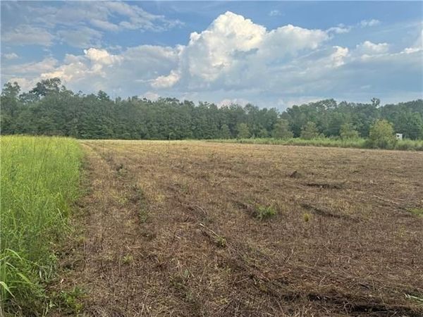 LONNIE DUNCAN Road , Mount Hermon, LA 70450