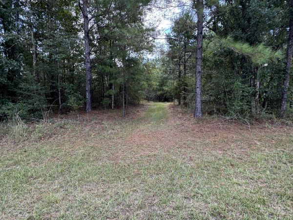 Lot S-12 Big Bay Blvd, Lumberton, MS 39455