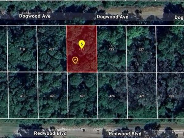 423 DOGWOOD AVENUE , GEORGETOWN, FL 32139