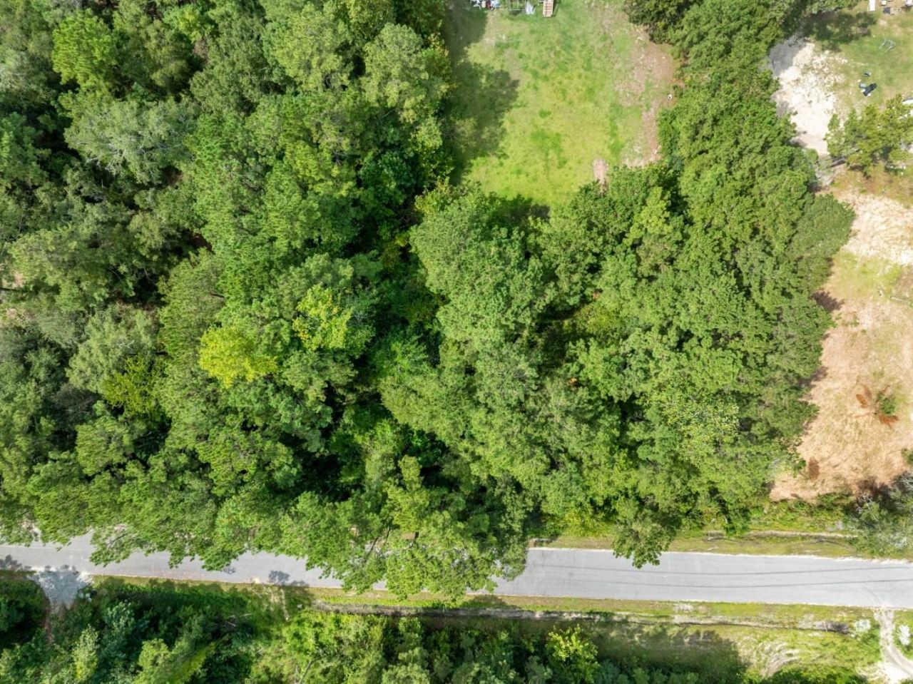 1232 Rainbow Dr. Photo 11
