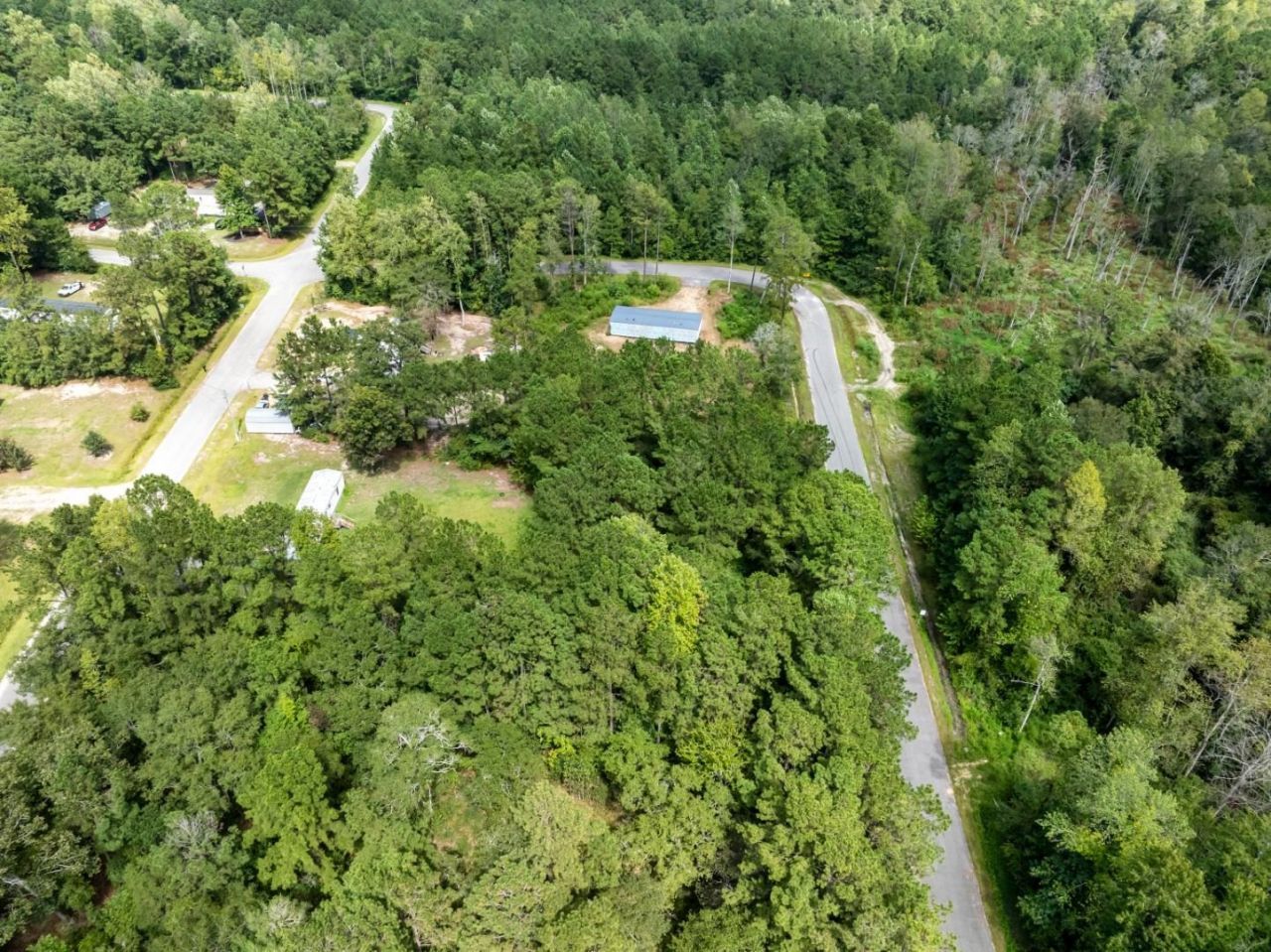 1232 Rainbow Dr. Photo 4