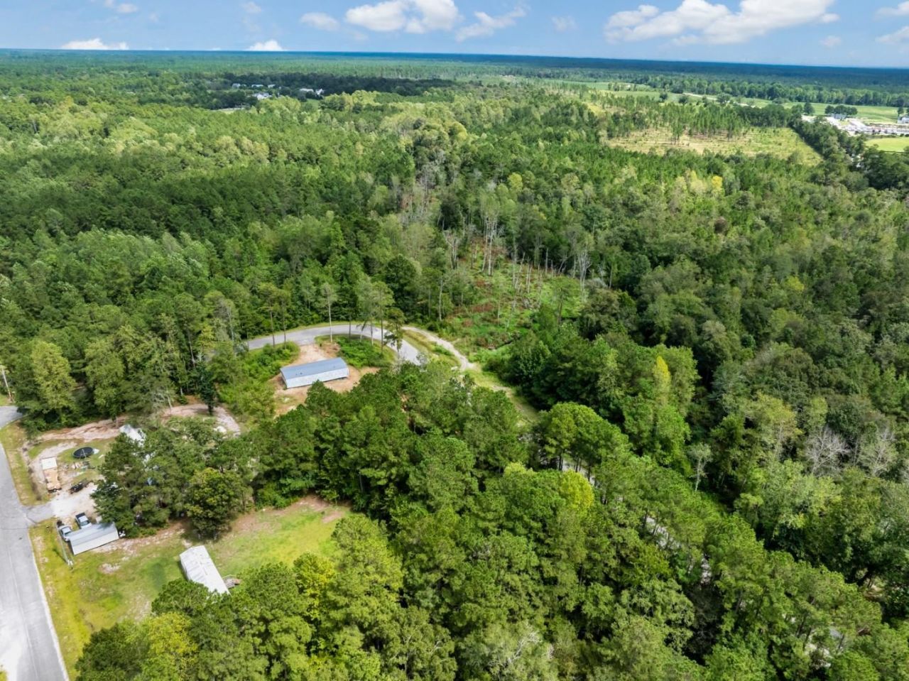 1232 Rainbow Dr. Photo 5