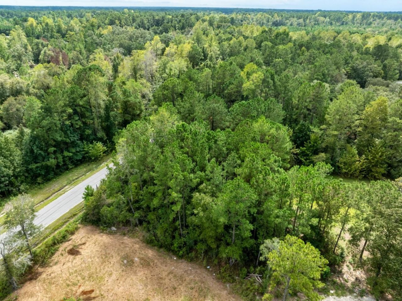 1232 Rainbow Dr. Photo 7