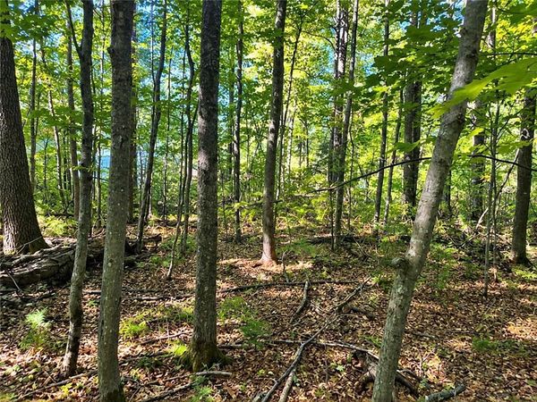 Lot 1 & 2 Bluegill Avenue, Webster, WI 54893