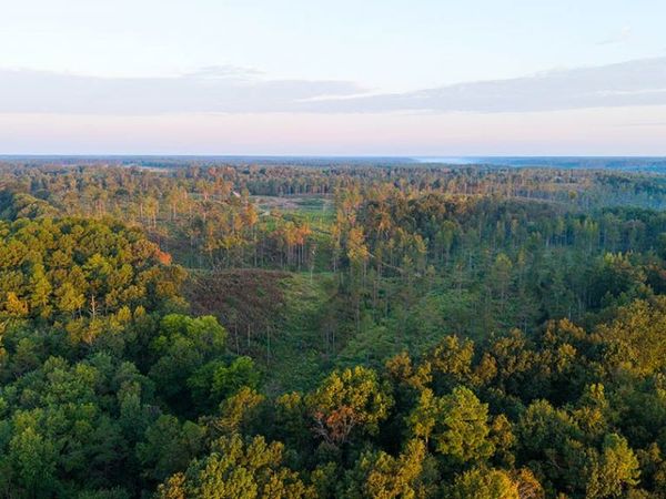 0 Second Creek Road, Lutts, TN 38471