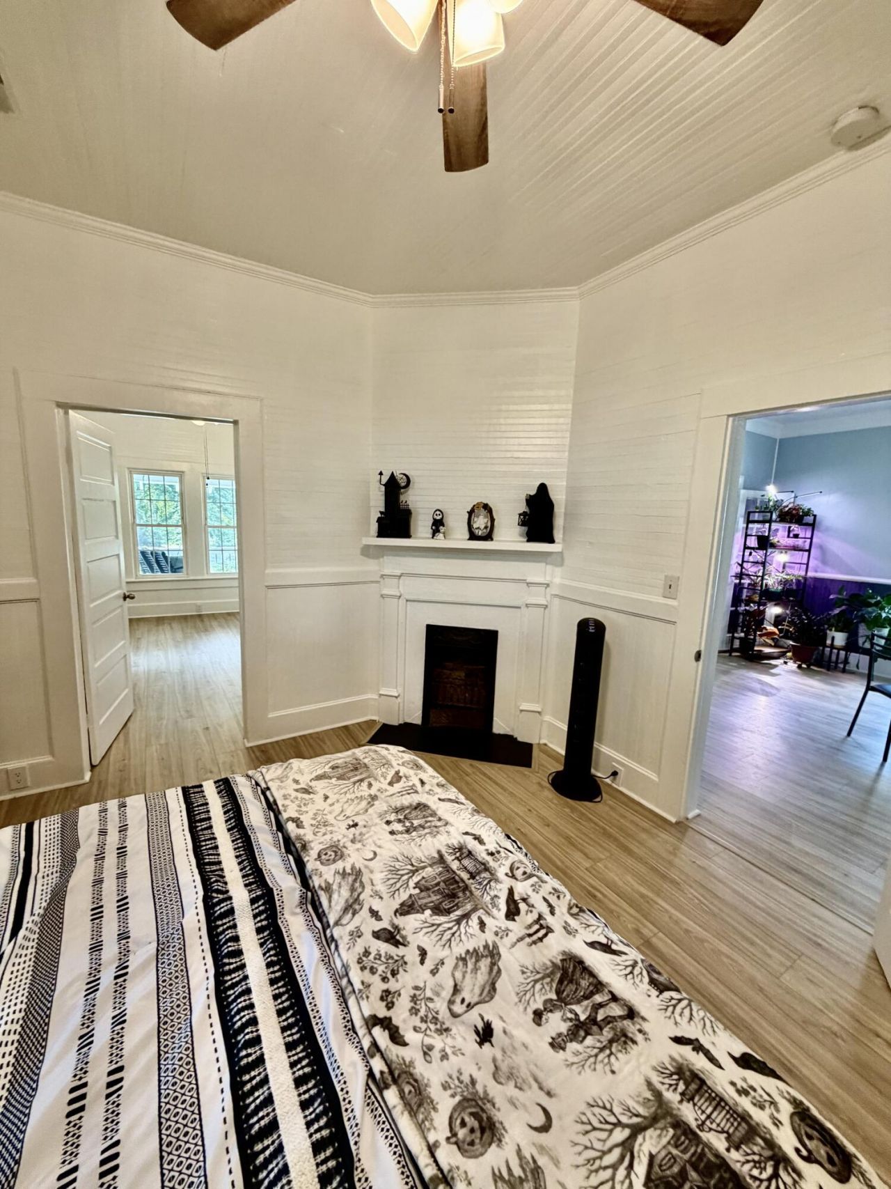 2408 E Cleveland Street Photo 14