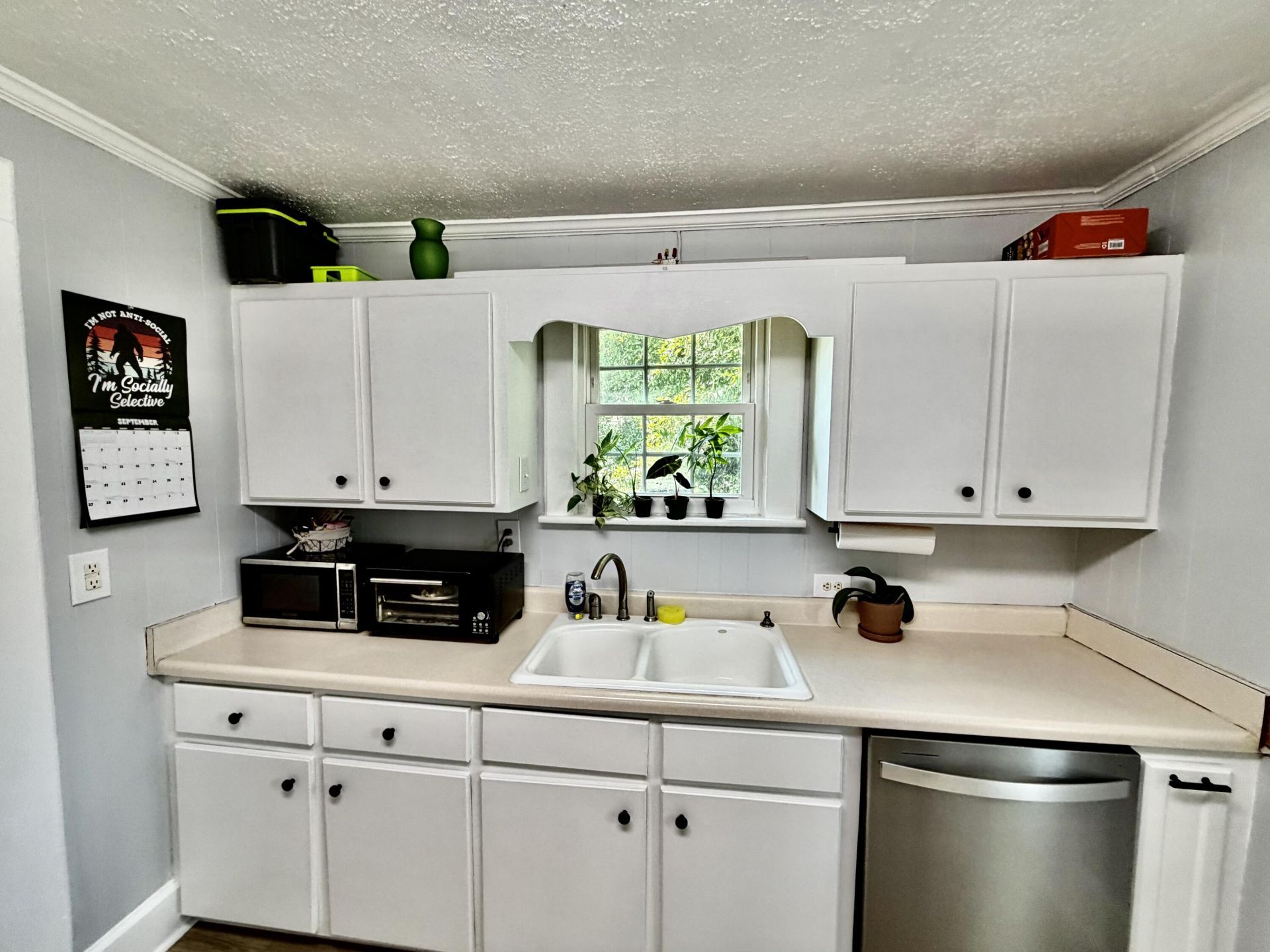 2408 E Cleveland Street Photo 6