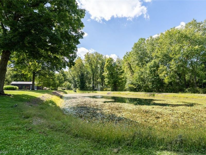 1748 Melody Lane, Medina, OH 44256 Photo 48