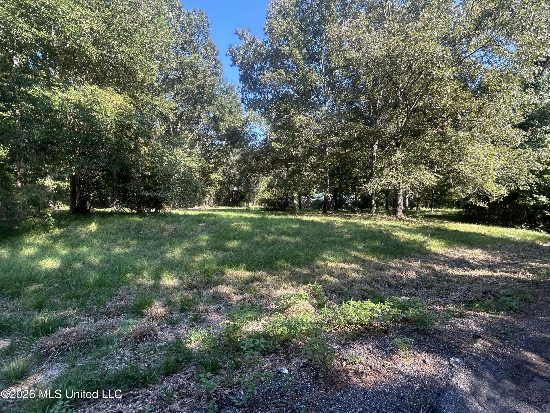 323 Upper Kingston Road, Natchez, MS 39120 Main Photo