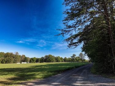 WOODVILLE ROAD , LOCUST GROVE, VA 22508