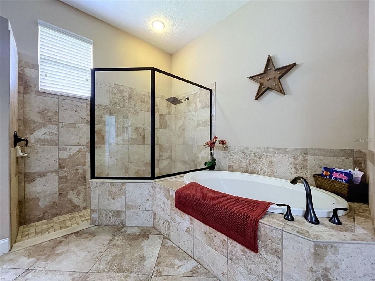 21422 Draycott Way, Land O Lakes, FL 34637 Photo