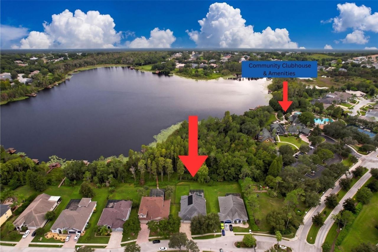 21422 Draycott Way, Land O Lakes, FL 34637 Photo