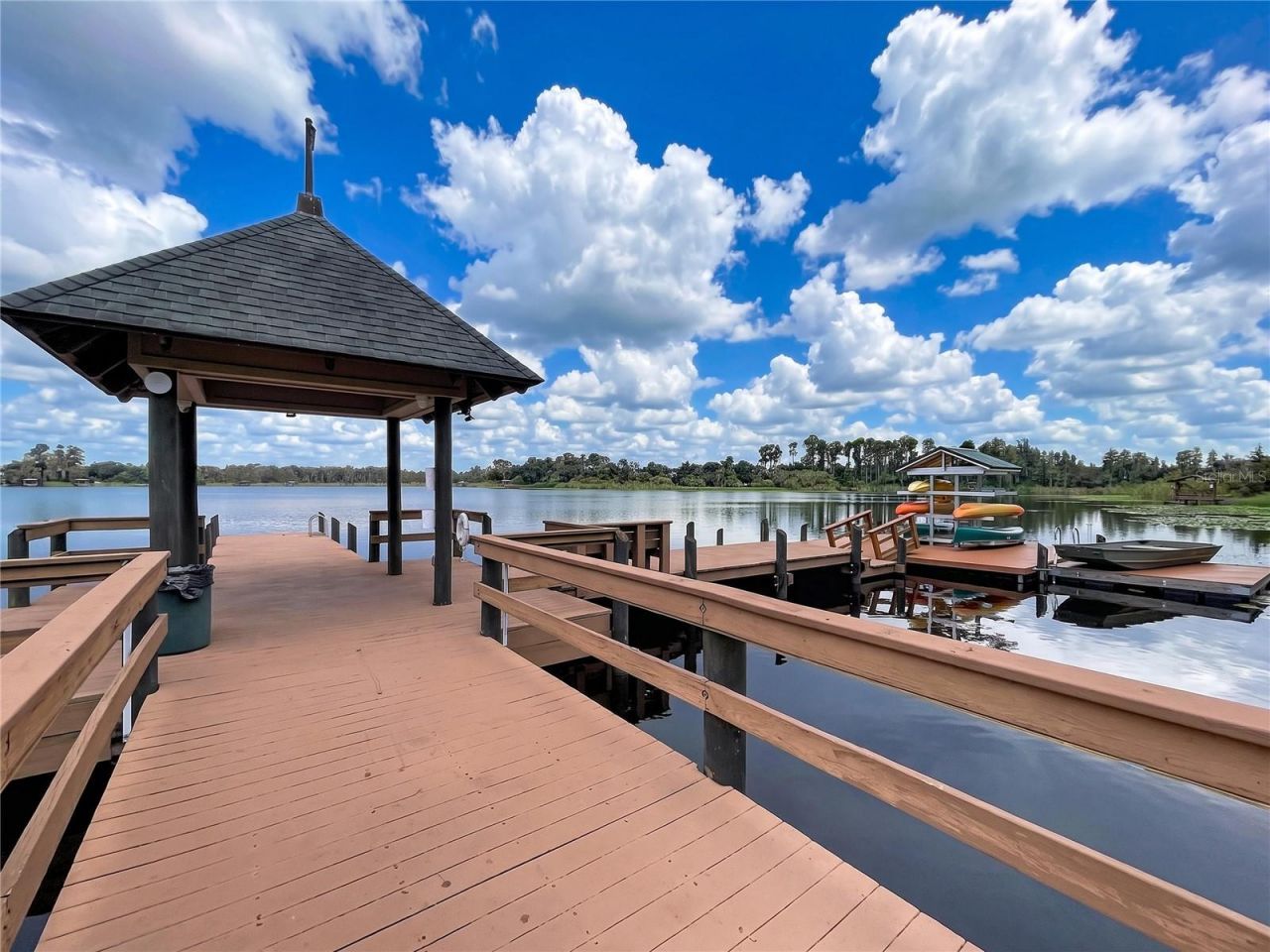 21422 Draycott Way, Land O Lakes, FL 34637 Photo