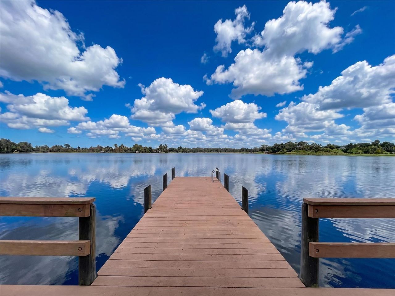 21422 Draycott Way, Land O Lakes, FL 34637 Photo
