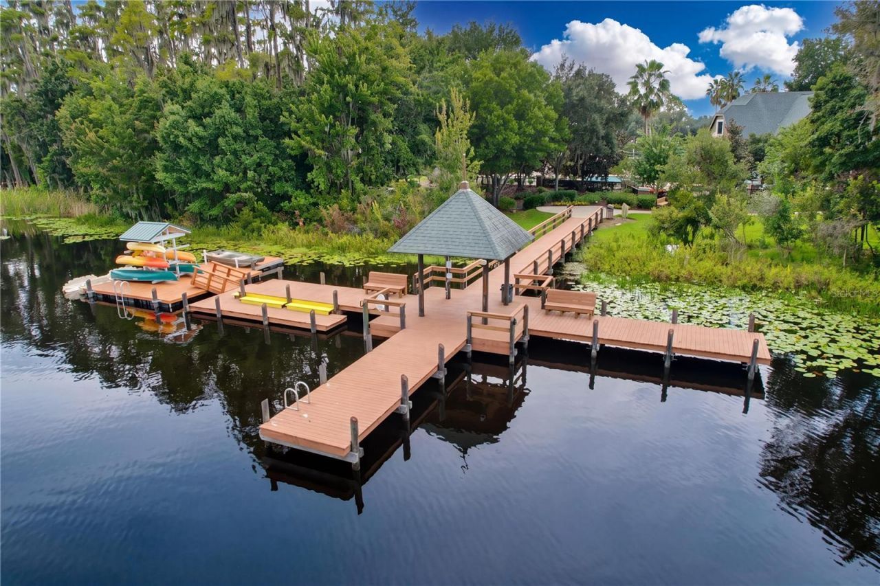 21422 Draycott Way, Land O Lakes, FL 34637 Photo