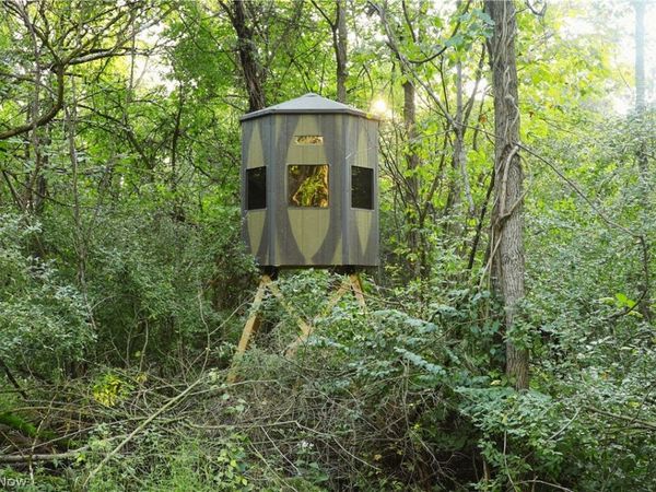 Groves Hill RD , Caldwell, OH 43724