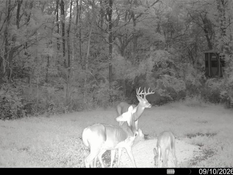 Groves Hill RD, Caldwell, OH 43724 Photo 10