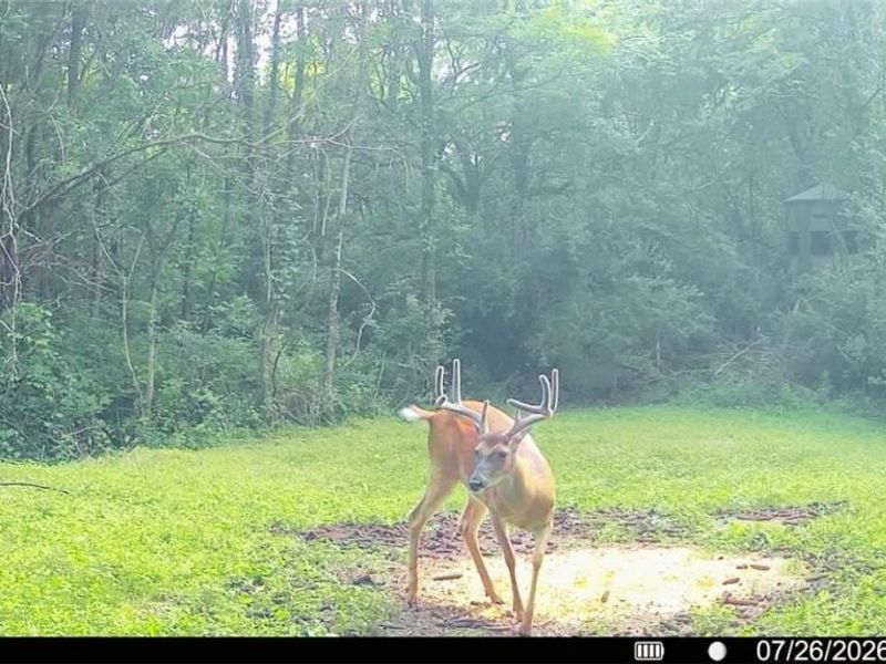 Groves Hill RD, Caldwell, OH 43724 Photo 11