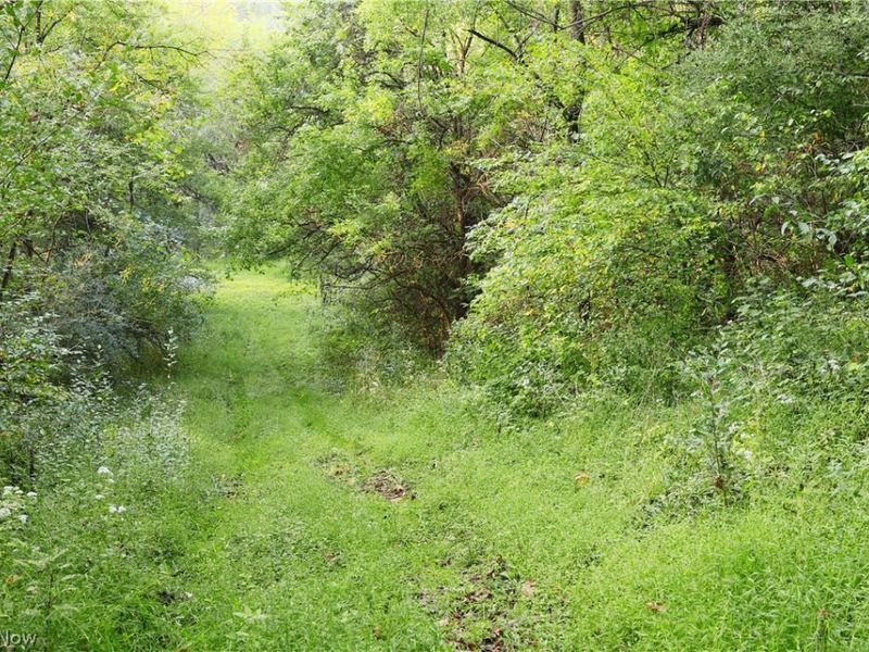 Groves Hill RD, Caldwell, OH 43724 Photo 13