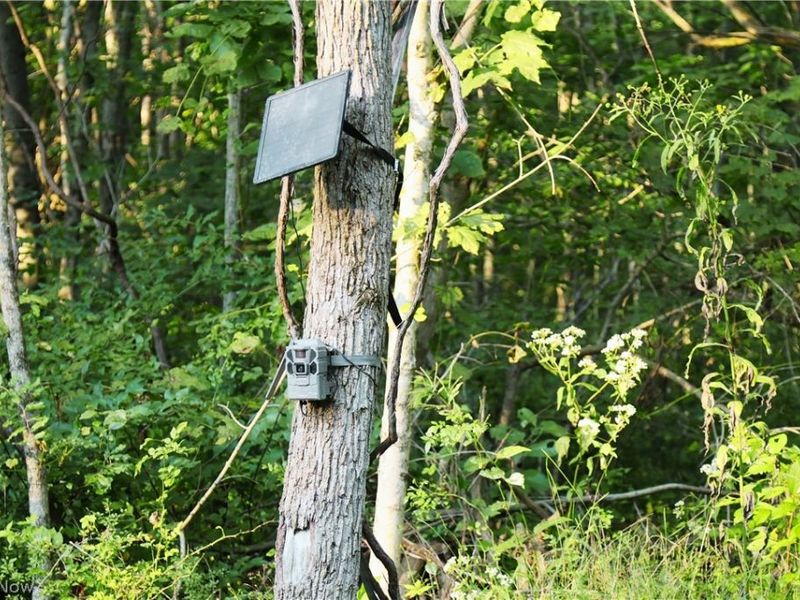 Groves Hill RD, Caldwell, OH 43724 Photo 14