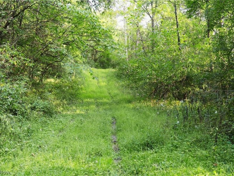 Groves Hill RD, Caldwell, OH 43724 Photo 15