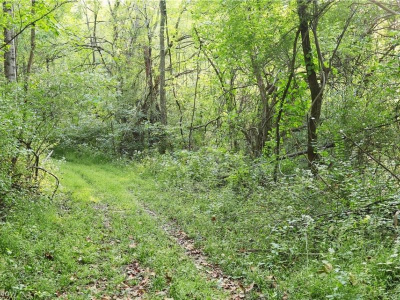 Groves Hill RD, Caldwell, OH 43724 Photo 18