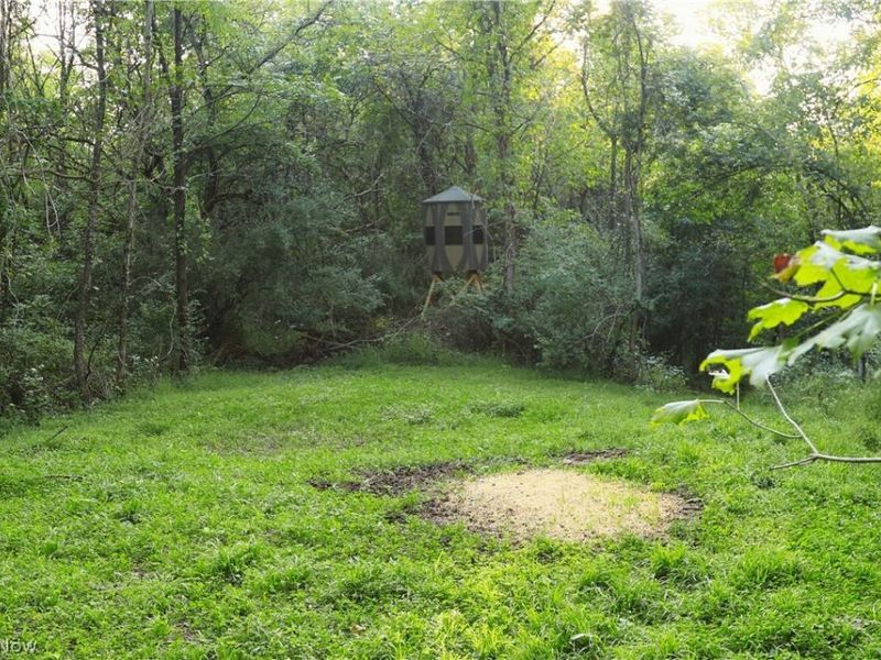 Groves Hill RD, Caldwell, OH 43724 Photo 19