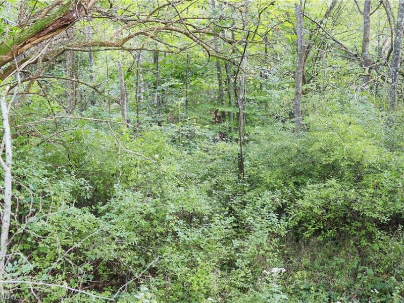 Groves Hill RD, Caldwell, OH 43724 Photo 22