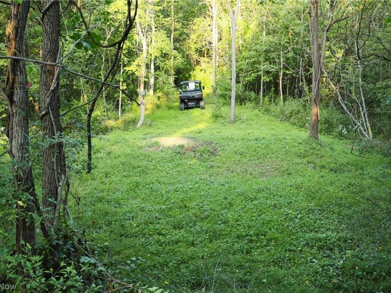 Groves Hill RD, Caldwell, OH 43724 Photo 23