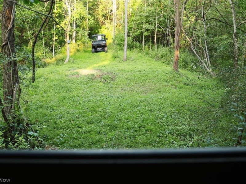 Groves Hill RD, Caldwell, OH 43724 Photo 24