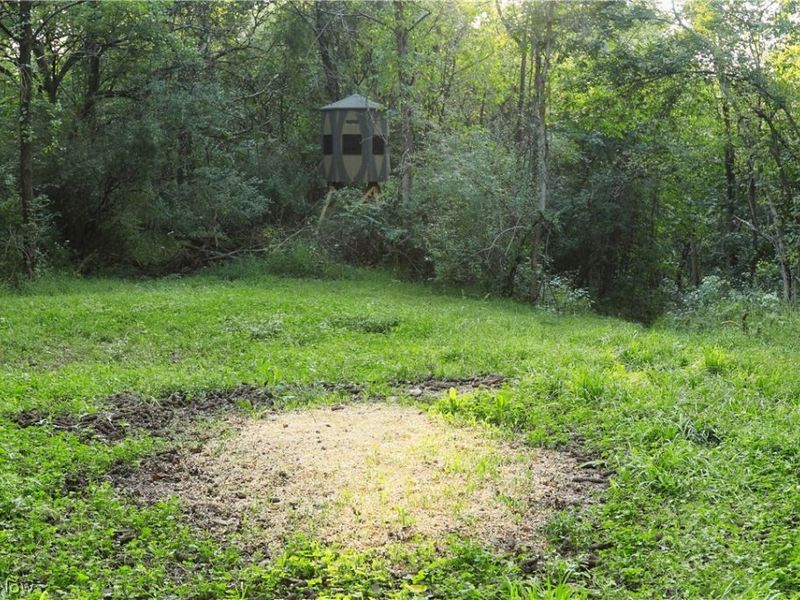 Groves Hill RD, Caldwell, OH 43724 Photo 3