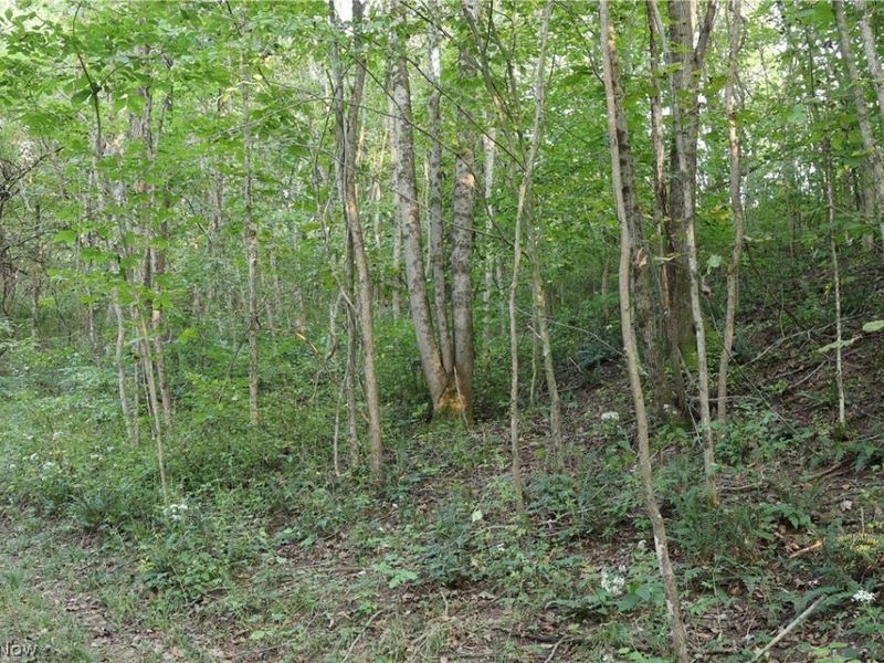 Groves Hill RD, Caldwell, OH 43724 Photo 31