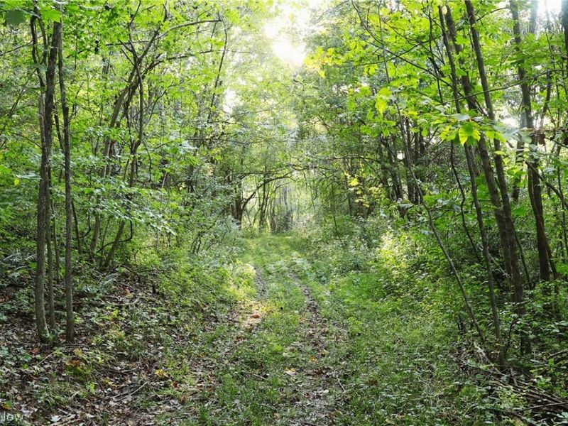 Groves Hill RD, Caldwell, OH 43724 Photo 32