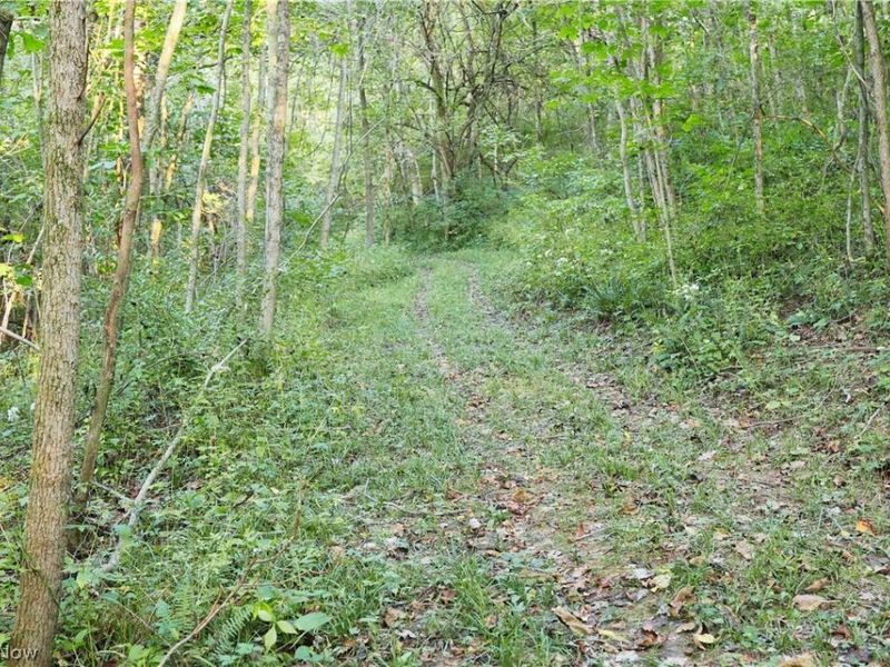 Groves Hill RD, Caldwell, OH 43724 Photo 33